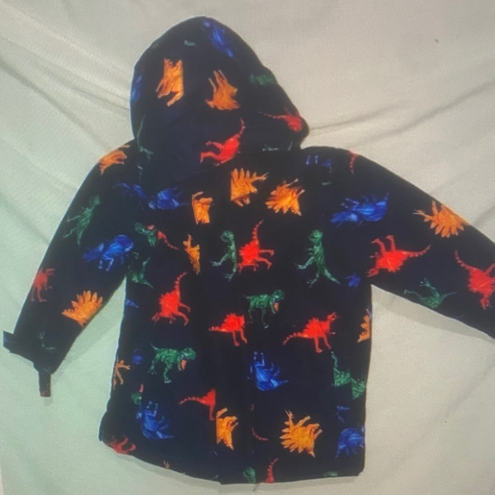 Kids Dinosaur Print Hoodie - Multicolor